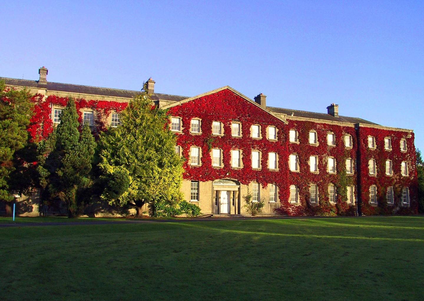 爱尔兰国立大学,梅努斯
